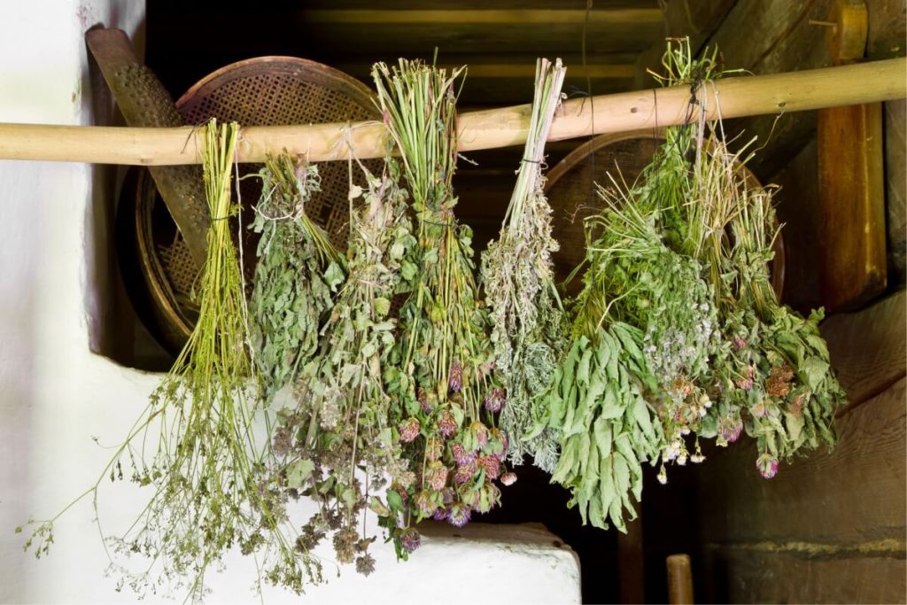 Tips For Growing and Using Your Own Herbs