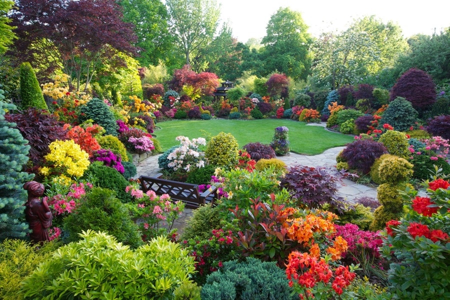 How to Achieve Year-Round Color in Your Garden