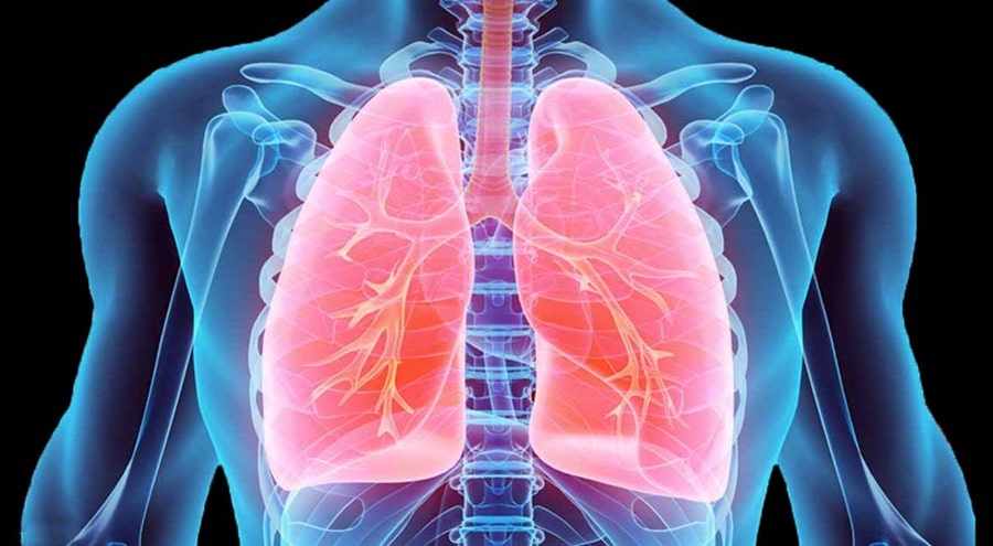 Simple Exercises To Improve Your Lung Health