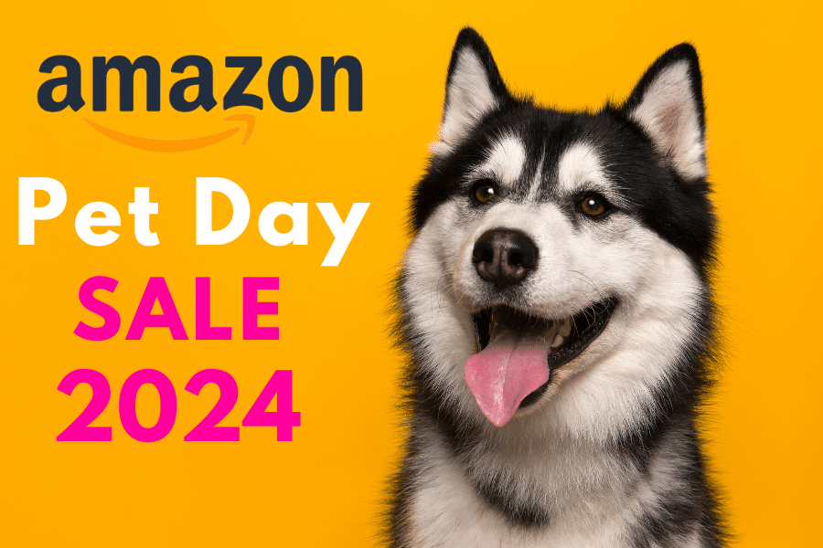 Amazon Pet Day 2024